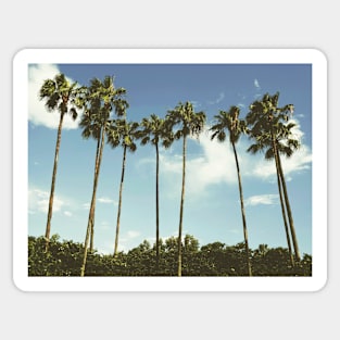 Tropical landscape palms Sticker